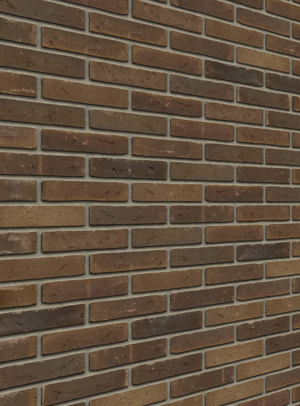 Aqua Brun Meuse FW Redux