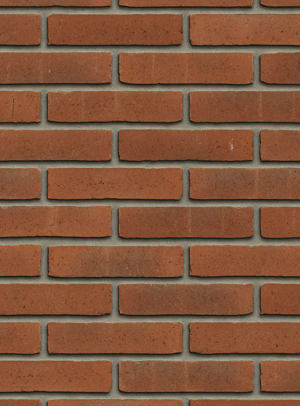 Aqua Roodpaars WF (op aanvraag)