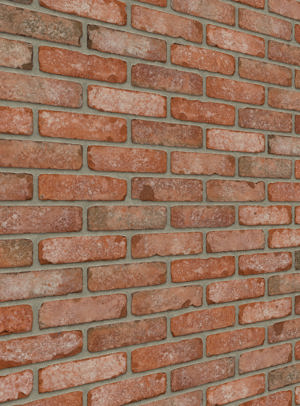 Wisconsin VB EF (RETRO)