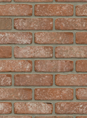 Dakota VB EF (RETRO)