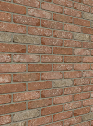 Kentucky VB EF / RC134