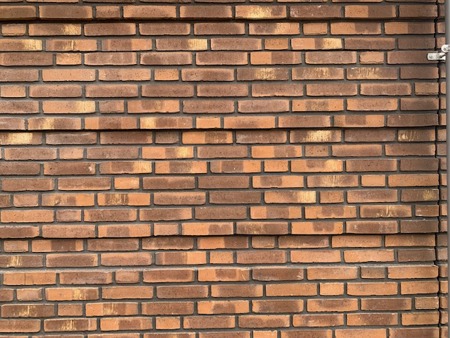 Aqua Bruin Geel Kameleon collectie