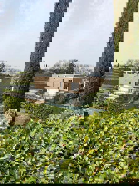 Zwitserland - Corso Terra Dragwire Vintage - VTB (S.Anselmo) - 905