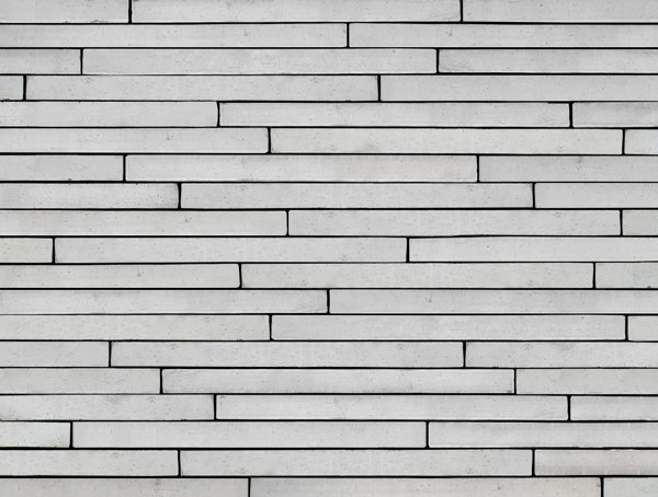 Corso Terra Dragwire Colonia - BB (S.Anselmo)